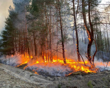 Вогонь крокує до турбаз та будинків на Блакитних озерах у Кам&#039;янському - що відомо про пожежу