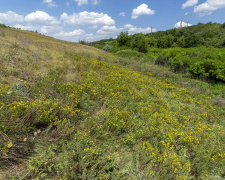 На Дніпропетровщині врятували унікальний заповідний степ - подробиці