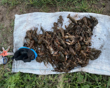У Кам&#039;янському водний патруль виявив браконьєра, який наловив раків майже на пів мільйона гривень