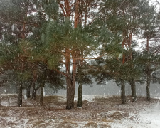 Зимова магія Кам’янського: три дні погодних метаморфоз у фотооб’єктиві