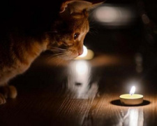 У Кам&#039;янському у п&#039;ятницю, 25 липня, вимикатимуть світло: графік та адреси відключень