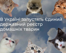 В Україні з’явиться Єдиний державний реєстр домашніх тварин - подробиці