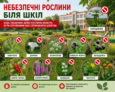 Небезпечні рослини біля шкіл: що заборонено висаджувати, розповіли у Держпродспоживслужбі
