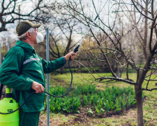 Весняний захист яблунь на Дніпропетровщині: час для мідного купоросу