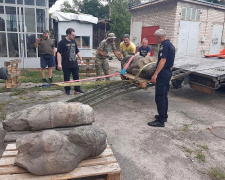 &quot;Кам&#039;яна баба&quot; з прифронтової зони переїхала до музею Дніпра - подробиці