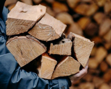 Онлайн-шахрайство на Дніпропетровщині: викрито злочинну схему з продажу дров на 300 тисяч гривень
