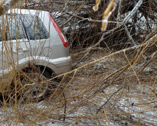 Наслідки ожеледі: у Кам’янському дерево не витримало негоди та пошкодило два автомобілі