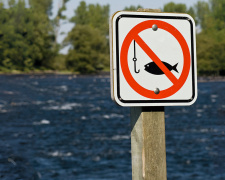 На Кам’янському водосховищі стартує нерестова заборона: де не можна рибалити