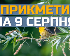 Сьогодні не можна починати важливі проекти: свята, прикмети та заборони 9 серпня