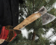 Шалена &quot;різдвяна&quot; ціна: нелегальна вирубка ялинок у грудні коштуватиме українцям утричі дорожче