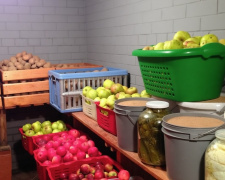 Як позбутися вогкості в льоху за допомогою бюджетних способів - рекомендації від агрономів