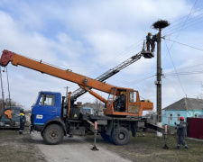 На Дніпропетровщині енергетики допомогли зберегти на електроопорі гніздо лелек - подробиці