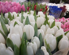 Весна у місті: оприлюднено перелік адрес квіткових ярмарків у Кам’янському