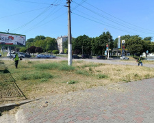 Кам'янське стає сухим та без зелені