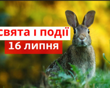 Сьогодні не можна рубати дрова чи полювати - традиції та прикмети 16 липня