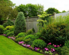 Що посадити у квітні біля паркану: секрети ідеального зеленого куточка