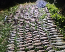 Карасі, плоскирки, судаки та окунь: у Кам’янському рибалка незаконно виловив риби на майже 440 тисяч гривень