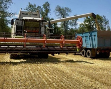 У Кам&#039;янському районі розпочався жнивний сезон ранніх зернових - подробиці