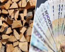 Зимова допомога: хто з українців отримає 8000 грн на тверде паливо