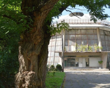 Кам’янчани можуть відвідати майстер-класи та унікальну оранжерею: березнева програма Ботсаду ДНУ