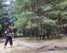 На Дніпропетровщині для захисту лісів від пожеж створять дві тисячі кілометрів мінералізованих смуг