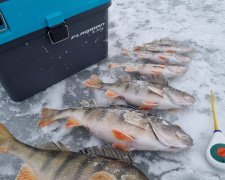 Зимова риболовля на Блакитному озері у Кам'янському: як виманити окуня-гиганта з-під льоду