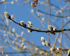 Від +12 до +19 градусів: у Кам’янському очікується різкий температурний стрибок наприкінці березня