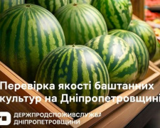 Як не отруїтися кавуном