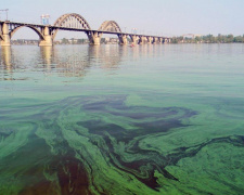 Чому наприкінці літа Дніпро біля Кам'янського перетворюється на зелений кисіль і чим це загрожує містянам