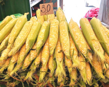 Скільки коштує кукурудза у Кам’янському на ринку