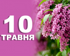 Сьогодні не можна поливати кімнатні рослини та їсти вареники - прикмети 10 травня