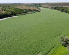 Дніпропетровщині критично необхідна відбудова Каховської ГЕС