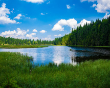 Забруднення води на Дніпропетровщині: еколог розповів, наскільки серйозна проблема і чому