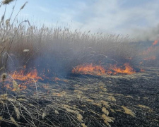 За крок від катастрофи: рятувальники загасили пожежу біля кам&#039;янського притулку для тварин