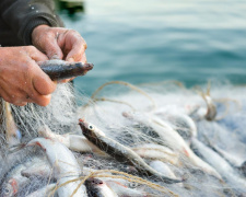 Понад 2 мільйони гривень збитків: підсумки роботи Дніпропетровського рибоохоронного патруля за листопад