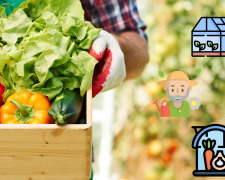 Посівний календар на травень 2026: сприятливі дні для робіт на городі