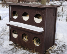 У Кам’янському з’явився перший «котоготель»: приклад небайдужості мешканців