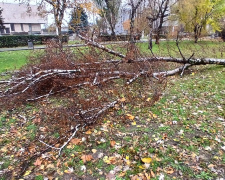 Кам’янське атакує злива: ґрунт просідає, дерева падають просто на очах