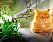 Як плавно перейти від зими до весни: поради з різних сфер життя