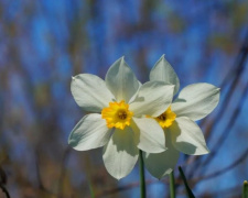 Погода у Кам’янському на тиждень з 13 по 17 квітня 2026: коли очікувати пік тепла