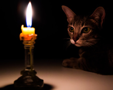 Графіки відключення світла в Дніпрі та регіоні 24 грудня - інформація від ДТЕК