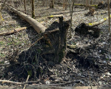 Ландшафтному парку на островах посеред Кам&#039;янського водосховища загрожує зникнення - подробиці