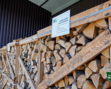 Таких цін ще не було: деякі види дров можуть здорожчати на 25% вже цієї зими
