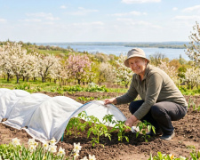 Заморозки відступають: коли на Дніпропетровщині чекати справжнього травневого тепла та як врятувати врожай