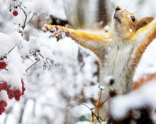 Температурні гойдалки та крижаний вітер: прогноз погоди у Кам'янському на 24-25 січня