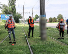 На трамвайних коліях Кам&#039;янського боролися з травою: фотофакт