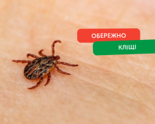 Сезон полювання на людей відкритий: Держпродспоживслужба попереджає про пік активності кліщів на Дніпропетровщині у березні 2026 року