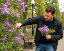 За букет бузку можна заплатити до 1360 грн