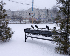Хуртовини, тумани та ожеледиця: чим дивував січень жителів Дніпропетровщини