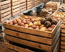 Без гнилі та паростків: прості лайфхаки, які допоможуть зберегти картоплю до весни у звичайній квартирі